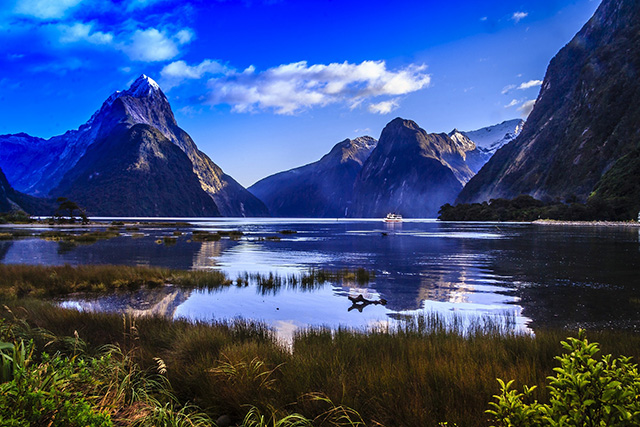 newzealand